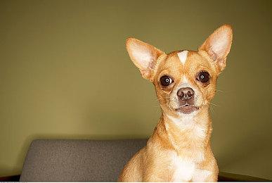 走出情绪迷宫，完美的一天工作室新作《失眠》现已发售